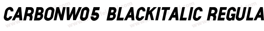 CarbonW05 BlackItalic Regular字体转换